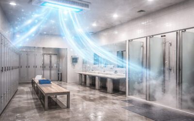 Luchtreiniger tegen schimmelsporen